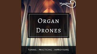 Organ Drone B