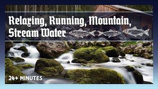 Relaxing, Running, Mountain Stream Water (24+ Minutes)