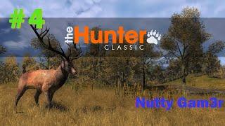 theHunter classic // теперь БЕСПЛАТНО (Показываю как начинать путь охотника) #4