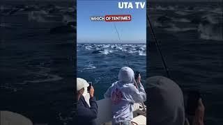 Uta Tv funny satisfying videos || pt.63 #shorts #2023 #reels #reelsvideo