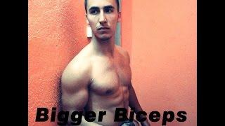 Bigger Biceps | Workout | Gohard | Kehayov |