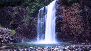 Peaceful Waterfall Sounds White Noise for Sleep, Relaxation  10 Hours Nature