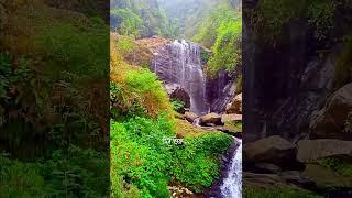 Dure jai olpo olpo se..# Arijit Singh#ureche mon#vairal Darjeeling # #youshort #likeforlikes