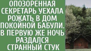 Опозоренная секретарша уехала рожать в дом покойной бабушки… В первую же ночь раздался странный