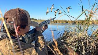 Duck Hunting a HIDDEN Pond on Opening Day! (CATCH CLEAN COOK)