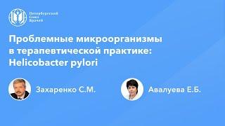 Проблемные микроорганизмы в терапевтической практике: Helicobacter рylori