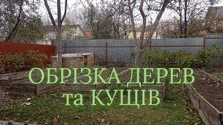 ОБРІЗКА ДЕРЕВ та КУЩІВ