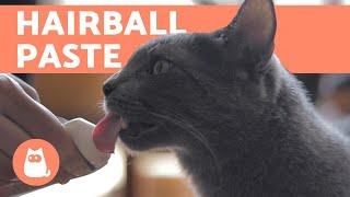 HAIRBALL PASTE for CATS - Benefits, Dosage and Application