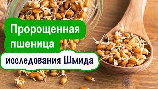 Пророщенная пшеница: польза, как прорастить и употреблять