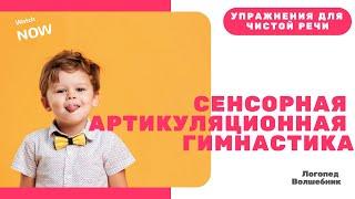 Сенсорная артикуляционная гимнастика. Как поставить звуки