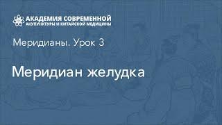 Меридиан желудка. Обучение рефлексотерапии. Академия акупунктуры Акумед.