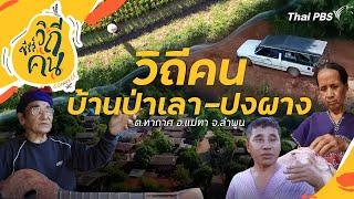 วิถีคนบ้านป่าเลา - ปงผาง ต.ทากาศ อ.แม่ทา จ.ลำพูน | ซีรีส์วิถีคน