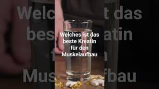 Welches ist das beste Kreatin für den Muskelaufbau