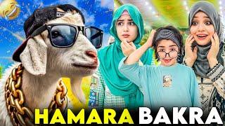 Why did the Shaheer become a goat  Our Eid animal is here  | Bakra Eid Special | Rida Naqqash