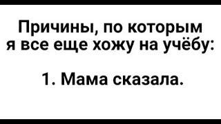 Лютые приколы. Почему ты ходишь на учебу?