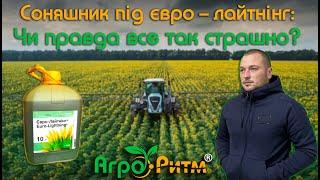 СОНЯШНИК ПІД ЄВРО-ЛАЙНТІНГ, НЕВЖЕ ВСЕ ТАК СТРАШНО?ПІСЛЯДІЯ?..АР ІМПУЛЬС.