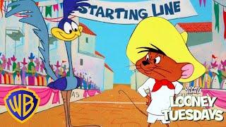 Looney Tuesdays | ​Road Runner Vs Speedy Gonzales | @wbkids​