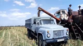 Уборка Подсолнечника! Август 2018 год.