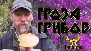 MEMEMETAL - Гроза Грибов (feat. Грибабас / Грибобас)