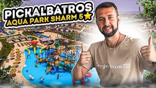 Pickalbatros aqua park sharm 5⭐️. Египет, Шарм-Эль-Шейх, из Москвы. Обзор Павла Георгиева.