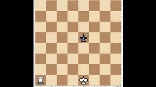 Checkmate With Rook and King