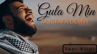 MUSTAFA DEMİR - GULA MIN [Official Music Video]