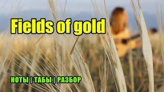 Sting - Fields Of Gold | На гитаре | Ноты Табы | Подробный разбор