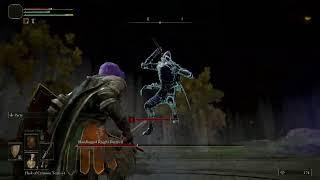 Elden Ring - Forlorn Hound Evergaol Boss - Bloodhound Knight Darriwil
