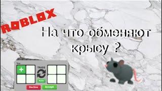 Что дают люди за крысу в Adopt me / roblox game 