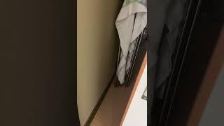 寝起きドッキリかましてみた️