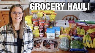 GROCERY HAUL & MEAL PLAN! | FEEDING A LARGE FAMILY FOR A WEEK