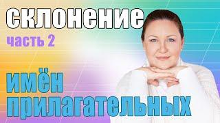 Падежные окончания прилагательных. Как определить окончания прилагательных по падежам.