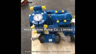 Tobee® Horizontal Centrifugal Slurry Pump #slurrypumpspareparts  #highflowslurrypump