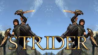 Dragon's Dogma Class Guide: STRIDER