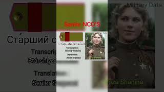 All Ranks and Insignia in the Red Army (1943-1955) Part 2