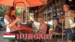 What are the HUNGARIAN people like? - Traveling alone in Hungary