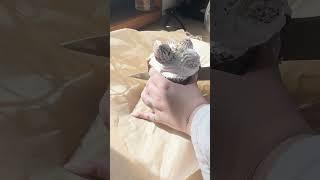 распаковка самого дорогого кулича #2024 #распаковка #пасха #куличрецепт