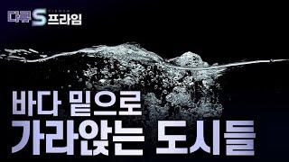 [다큐S프라임] 해수면 상승 문제..더 이상 미래의 일이 아니다! 사라지는 빙하의 습격이 부산, 인천, 미국까지? 지구촌이 바다에 잠기게 된다면 / YTN 사이언스