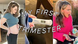 FIRST TRIMESTER | Gender Reveal, symptoms, body changes!