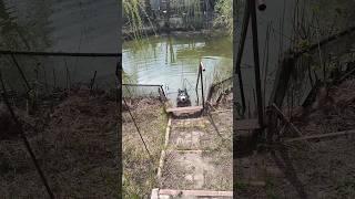 Щас бы наггетсов куснуть, покупаться и уснуть