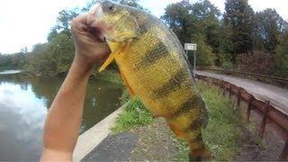 Bait Fishing #23 - Jig and Nightcrawler Fishing for Jumbo Perch and Big Smallmouth Bass