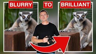 From Blurry to Brilliant: Pro Tips for Perfect Focus in Photography