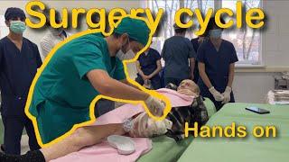 Clinical exposure in Russia || #samarastatemedicaluniversity #medico #MedXp #mbbsinrussia