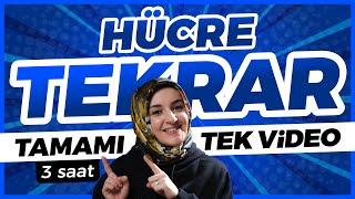 2) Hücre FULL TEKRAR |  | 9. Sınıf Biyoloji | TYT Biyoloji Konu Anlatımı 2