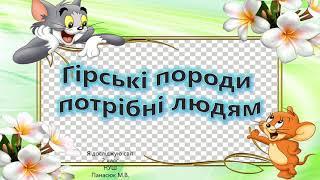 Гірські породи потрібні людям. Використання корисних копалин.