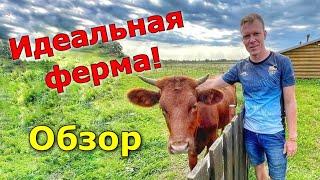 Покупаем фермерское хозяйство. Обзор фермы.