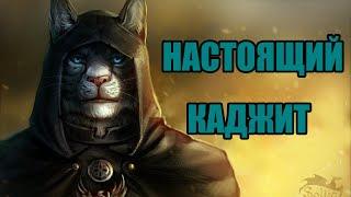 Skyrim моды для истинного КАДЖИТА