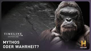 Bigfoot lebt - Ist DAS der Beweis? | Doku | Timeline Deutschland