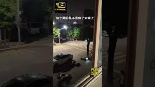 半夜把所有摩托车全推到丨报复社会【底层互害】 #故事  #底层互害