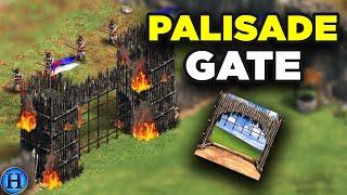 Lets Talk About The Palisade Gate | AoE2